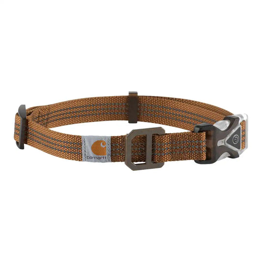 Carhartt Lighted Collar beleuchtetes Hundehalsband P000345